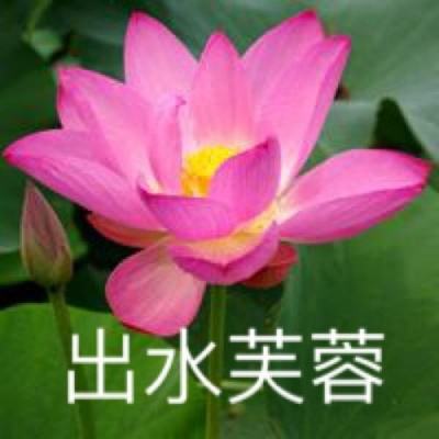 热血格斗360版下载
