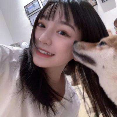 蜘蛛恐龙破解版下载